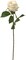 Rose Bud Stem - 48-Pack, Realistic Silk Foliage, Lifelike Blooms, Perfect for Floral Arrangements, Events & Home Décor - Ideal for All Seasons, Floral Home by Artificial Flowers